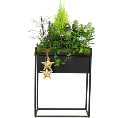 Bepflanzungen & Gestecke