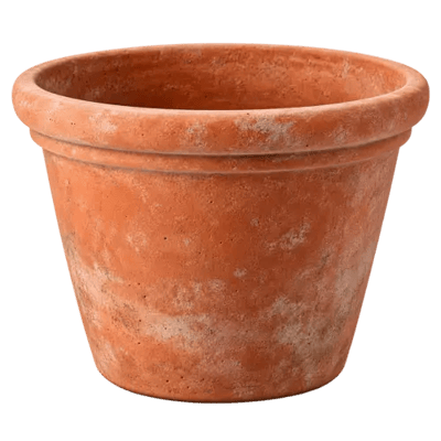 Garten & Balkon