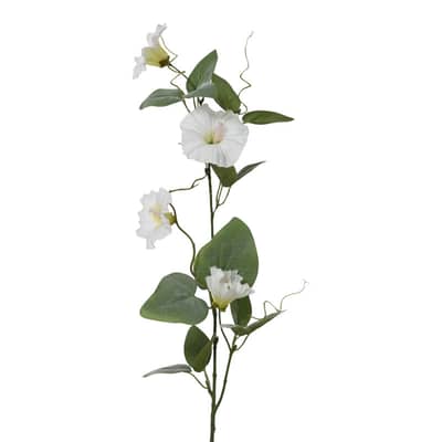 Seidenblume