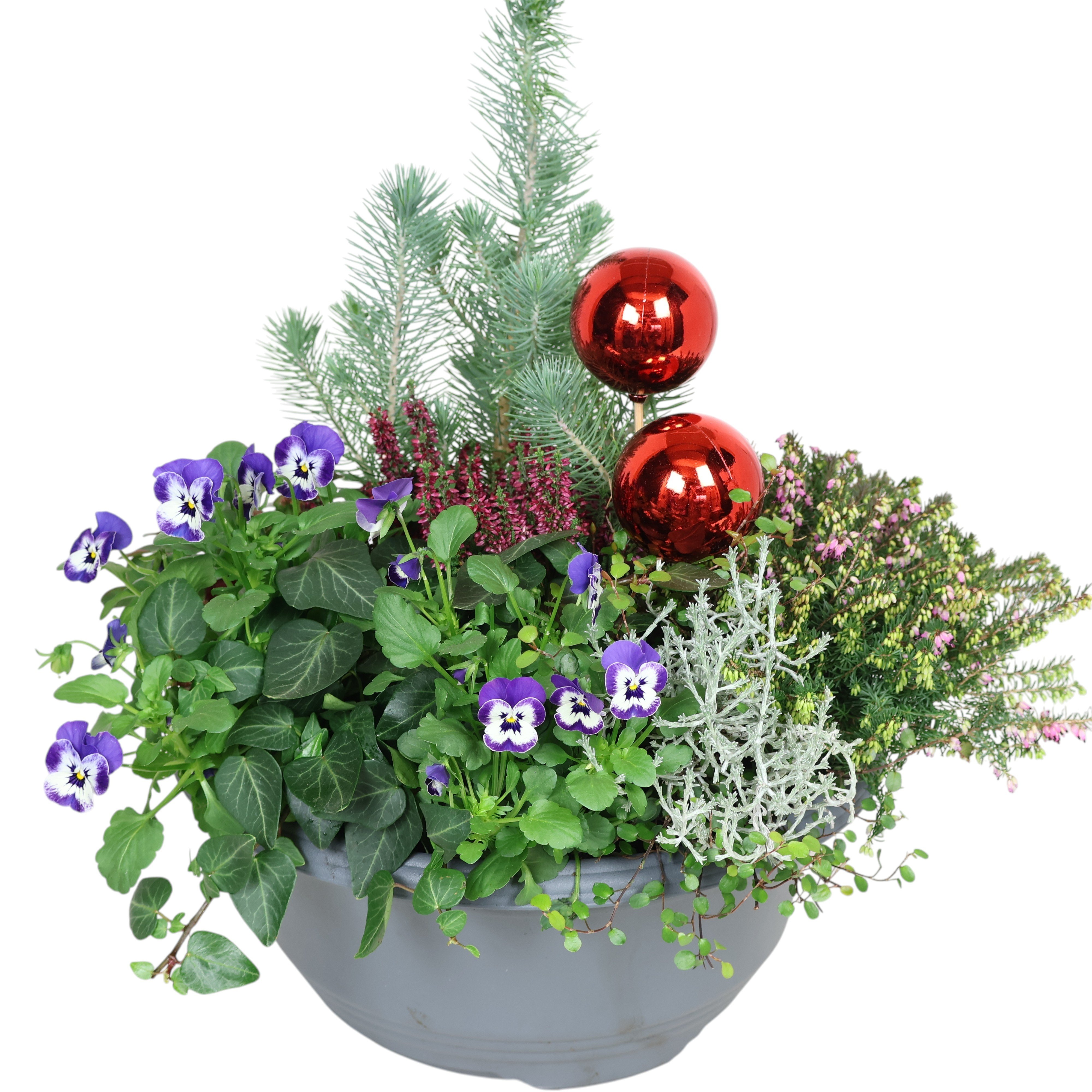 Winter-Schale "Kleines Mittelmeer" Ø 30 cm