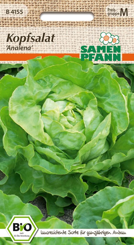 Bio Kopfsalat Samen 'Analena' -Samen Pfann