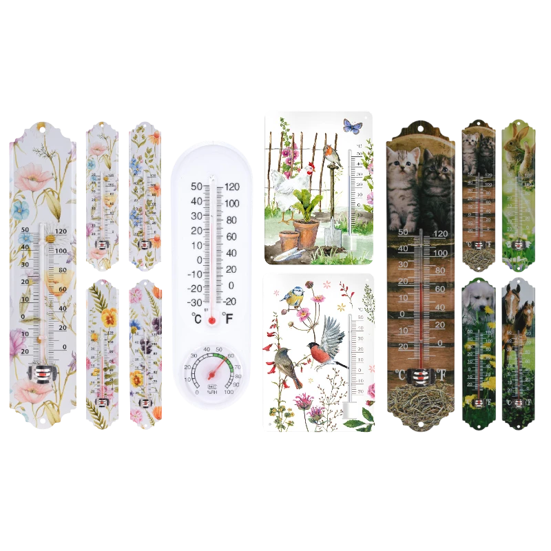 Thermometer & Hygrometer