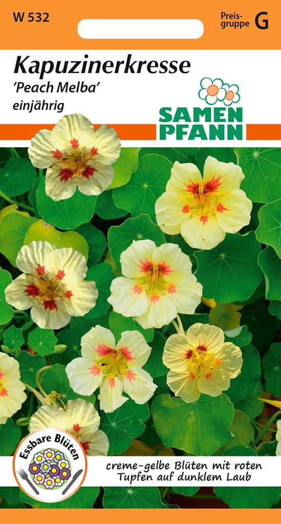 Kapuzinerkresse Samen 'Peach Melba' - Samen Pfann