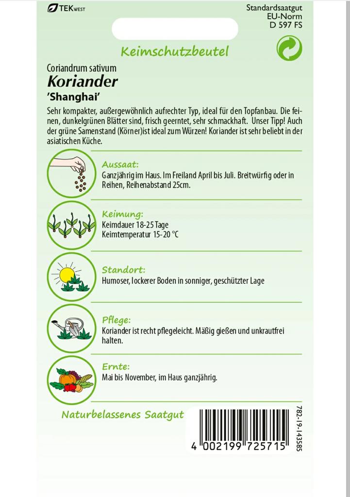 Koriander Shanghai