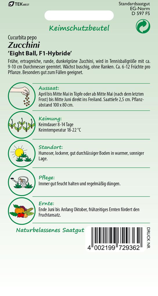 Zucchini Samen 'Eight Ball F1' - Samen Pfann