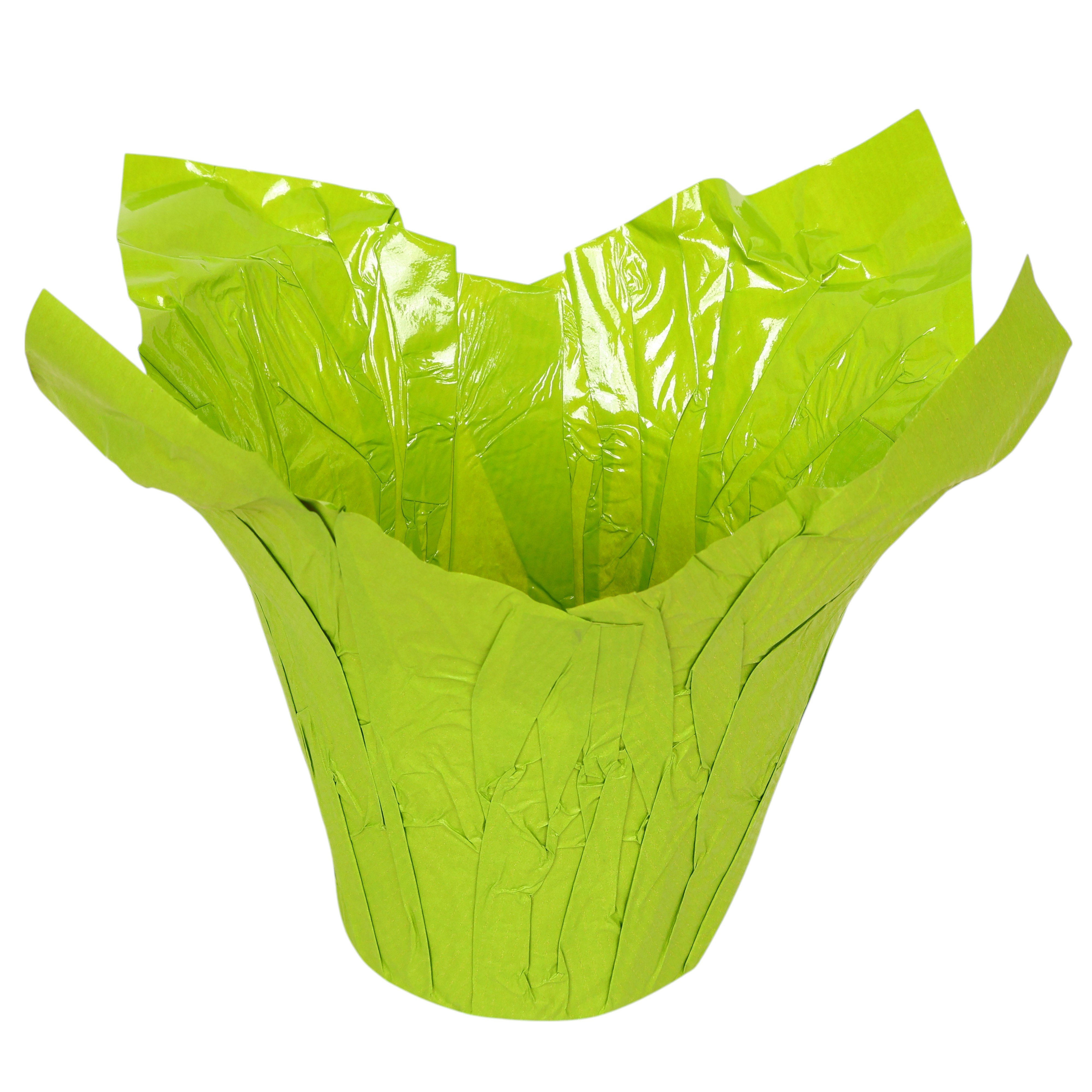 Papiertopf "Wraps" Ø 13 cm grün