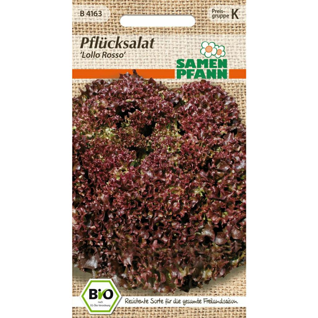 Biosaatgut Pflücksalat Lollo Rossa