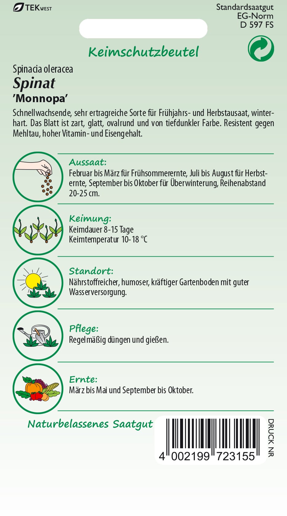 Spinat Samen 'Monnopa' - Samen Pfann