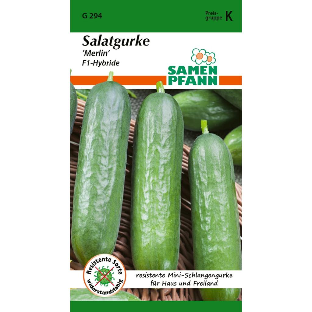 Salatgurke Merlin F1