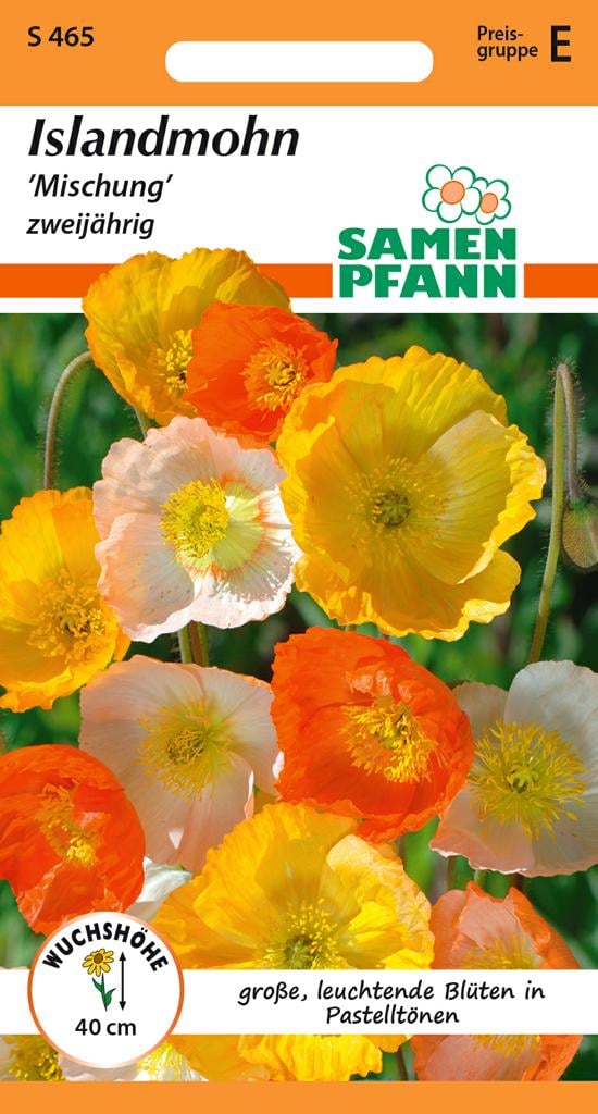 Islandmohn Samen 'Mischung' - Samen Pfann