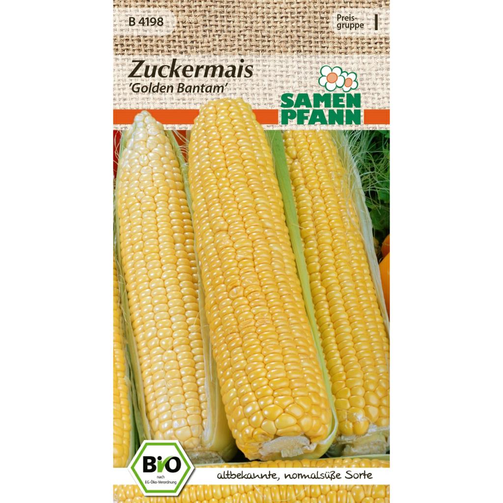 Biosaatgut Zuckermais Golden Bantam