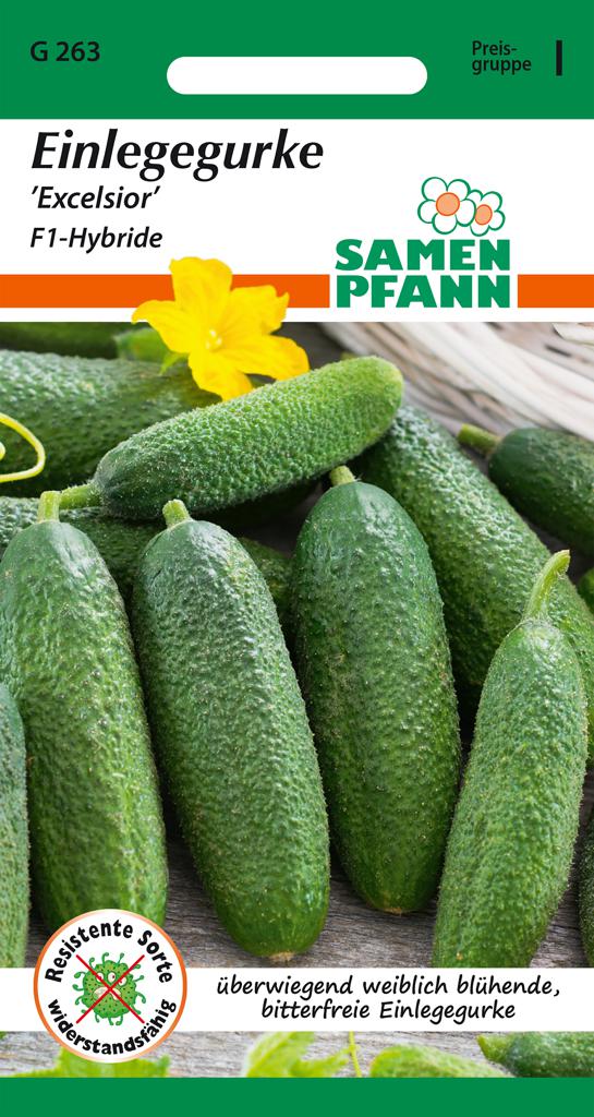 Gurken Samen 'Excelsior F1' - Samen Pfann