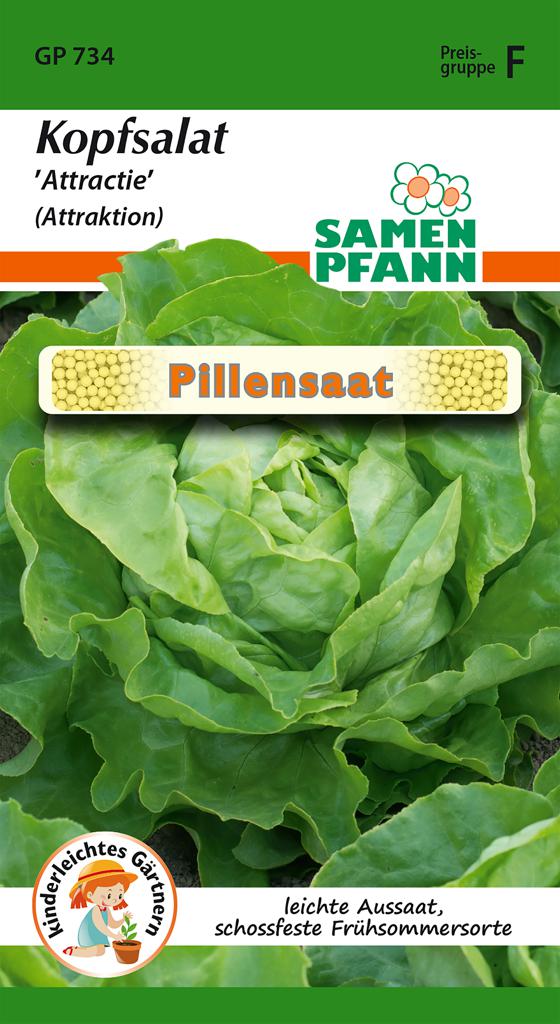 Kopfsalat Pillensaat 'Attractie' - Samen Pfann