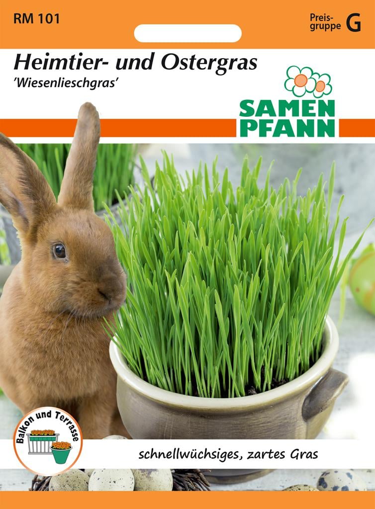 Heimtier- und Ostergras Samen ' Wiesenlieschgras' - Samen Pfann