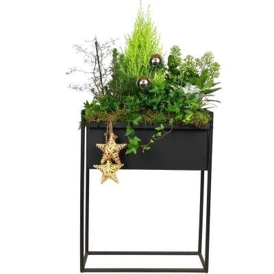 Bepflanzungen & Gestecke